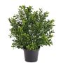 Artificial boxwood plant TOM, crossdoor, 12"/30cm, Ø 8"/20cm