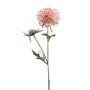 Artificial scabiosa branch BASOLO, pink-cream, 55cm