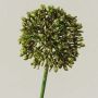 Artificial allium HELLA, glitter, green-gold, 45cm, Ø8cm