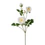 Artificial peony branch KROVEL, cream, 30"/75cm
