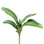 Decorative leaves: Phalaenopsis orchid CRILMER, support stick, aerial roots, 12"/30cm