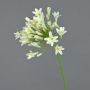 Artificial Agapanthus PHILINA, cream, 30"/75cm, Ø 5.5"/14cm