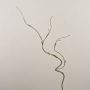 Plastic corkscrew willow branch TONY, green-brown, 90cm