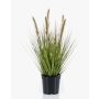 Artificial plant: YWAIN feather grass with panicles, beige-green, 45cm