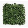 Artificial plant mat / hedge, ivy ANKA, crossdoor, green, 50x50cm