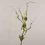 Decorative corkscrew willow branch RODRIK, moss, fern, brown-green, 90cm