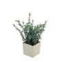 Plastic Rosemary plant GILANG, planter, green, 25cm