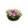 Decorative flower arrangement: anemones and daisies, IKAIA, multicoloured, 12cm, Ø20cm