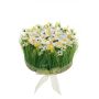 Artificial flower arrangement: daffodils and grass HAULANI, white and yellow, 12 cm, Ø20 cm