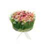 Artificial daisy flower arrangement with HAULANI grass, pink and white, 12 cm, Ø20 cm