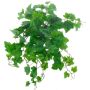 False grapevine hanging plant IGNATIUS, Eco Collection, green, 20"/50cm