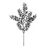 Decorative butcher's broom branch FRIVON, black, 20"/50cm