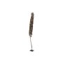 Babassu palm fruit / Cacho Coco MAKENA, natural, dried, brown, 4ft-6ft/120-190cm