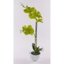 Decorative Phalaenopsis orchid ‘AURELIA’ in a ceramic pot, green, 55cm