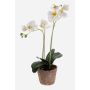 Artificial Phalaenopsis orchid MINA in a terracotta pot, white, 45cm