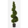 Decorative boxwood spiral tree TOM, thick, 4ft/135cm