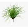 Decorative reed grass ELIAS on spike, bushy, green, 22"/55cm