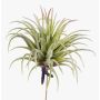Artificial plant Tillandsia Rubra PENNY, spike, green-red, 4.7"/12cm, Ø 3.9"/10cm