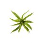 Decorative nest fern FRANNY, plug-in, green, 12"/30cm, Ø 12"/30cm