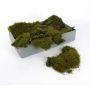 Natural moss ENNIO, untreated, 2kg