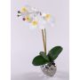 Artificial Phalaenopsis orchid EMILIA, ceramic pot, white, 45cm