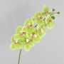 Textile branch Phalaenopsis orchid OPHELIA, green-pink, 3ft/100cm