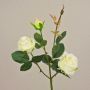 VELVET ROSE DELILAH, cream-white, 55cm, Ø6cm
