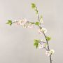 Decorative cherry blossom branch VALESKA, flowering, pink, 3ft/105cm