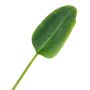 Plastic banana leaf YUMI, 3ft/95cm