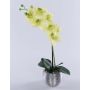 EMILIA artificial Phalaenopsis orchid, decorative pot, cream-green, 45cm