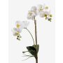Decorative Phalaenopsis orchid CANDIDA on spike, white, 26"/65cm