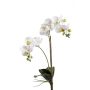 Decorative Phalaenopsis orchid CANDIDA on spike, white, 26"/65cm