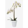 Artificial Phalaenopsis orchid CANDIDA in a ceramic pot, white, 65cm