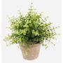 Artificial herb: Eucalyptus LUCANO in a terracotta pot, green, 20cm, Ø20cm