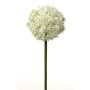 Plastic Allium SAMARA, cream, 30"/75cm, Ø 4.7"/12cm