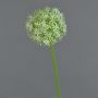 Plastic Allium SAMARA, cream, 30"/75cm, Ø 4.7"/12cm