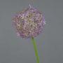 Plastic Allium SAMARA, purple, 30"/75cm, Ø 4.7"/12cm