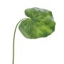 Decorative galax leaf SAMINO, 20"/50cm