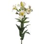Decorative Peruvian lily AUBERTA, green-white, 30"/75cm, Ø 2.4"/6cm