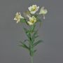 Decorative Peruvian lily AUBERTA, green-white, 30"/75cm, Ø 2.4"/6cm