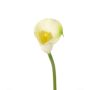 Fake Calla flower CHIDORA, cream, 22"/55cm, 2"x2.4"/5x6cm