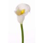 Fake Calla flower CHIDORA, white, 22"/55cm, 2"x2.4"/5x6cm