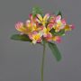 Artificial frangipani flower ALDAH, pink-yellow, 28"/70cm, Ø 2"/5cm