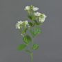 Decorative jasmine twig SINJA, white-green, 24"/60cm, Ø 1.6"/4cm