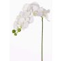 Artificial Phalaenopsis orchid branch GALINA, cream, 18"/45cm