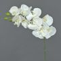 Artificial Phalaenopsis orchid branch GALINA, cream, 18"/45cm