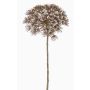Plastic Heracleum ANSARI, brown, 31"/80cm, Ø 9"/22cm