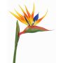 Artificial strelitzia Flower LATIFA, orange-purple, 31"/80cm, 6.7"x8"/17x20cm