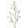 Artificial wax flower NIANG, cream, 31"/80cm, Ø0.6"-1"/1.5-2.5cm