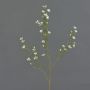 Artificial wax flower NIANG, cream, 31"/80cm, Ø 0.8"-1.2"/2-3cm